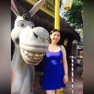 Royal blue dress from American Eagle